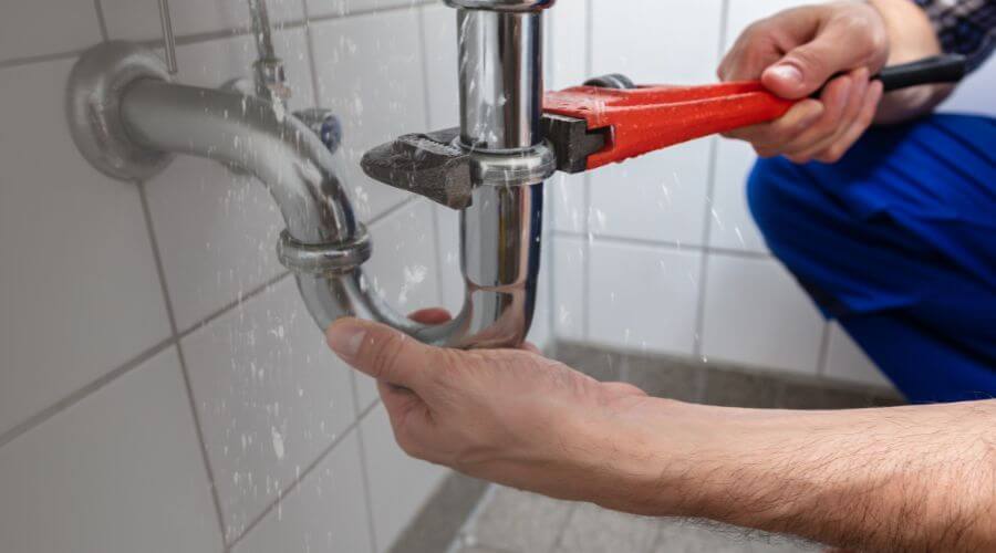 Professional Leak Detection Services in Mozelle, KY